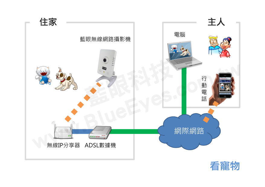 看寵物