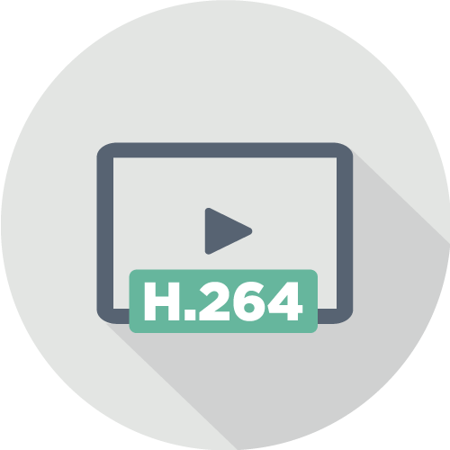 H.264 影象格式
